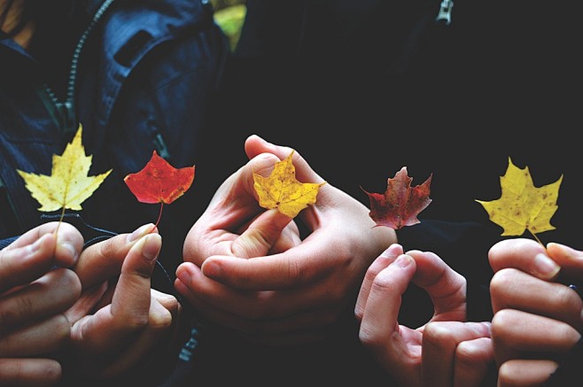 秋, 秋天的树叶, 颜色, 干树叶, 手...