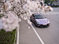 car carphotography Automotive Photography cherry