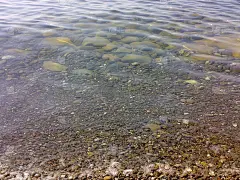 海区的地标和景观