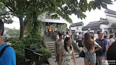 乌篷船，年纪大的船夫划得慢可以观摩河边各家临水客栈的格局