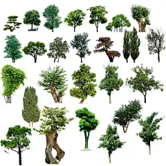 喷泉 植物 树木 松树 花卉 盆景 景观 配景 假山 雕塑 人物 素材 设计 园林 规划 效果图 ps 效果图素材 景观表现 -----建筑设计素材网
需要此张图可以直接登录网站联络客服，可以免费下载