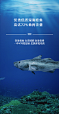 【窝小芽鳕鱼肠80g（共8根）】窝小芽 鳕鱼肠80g（共8根） 72%鳕鱼肉蛋白质丰富原味不加防腐剂蔗糖 火腿肠鱼棒小吃儿童健康即食零食休闲【行情 报价 价格 评测】-京东
- - - - - - - - - - - - - -
 ——→ 【 率叶插件，让您的花瓣网更好用！】> https://lvyex.com