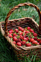 summer thyme strawberries . . .: 