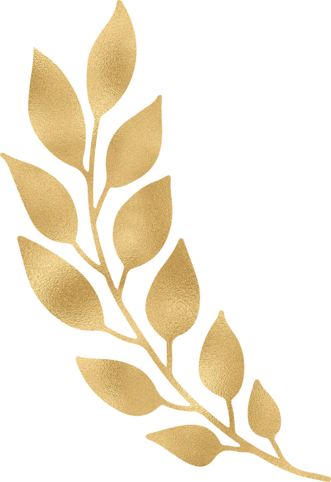 高清金色枝叶典雅文艺花环边框分割线装饰设...