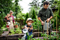 有小孩的家庭在农场种植有机蔬菜。