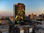 Soaring Murals of Plants on Urban Walls by Mona Caron : Muralist Mona Caron (previously) has continued her worldwide Weeds series, with colorful renderings of humble plants growing ever taller on buildings from Portland and São Paulo to Spain and Taiwan. 