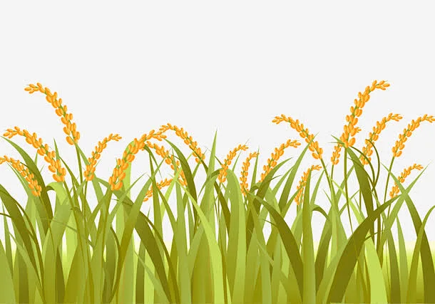 卡通稻谷稻田矢量图标_88ICON https://88icon.com 图标 丰收 稻穗 稻田 麦穗 秋收季节 标识logo设计 稻谷 米穗 ...