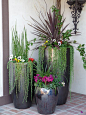 10 Lovely Wall Container Garden Ideas - DIY Ideas