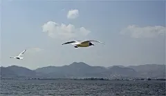 滇池旅游攻略图片