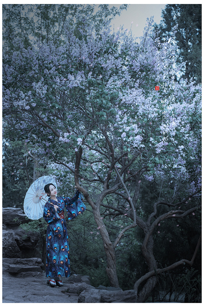 【有图】花开的时节