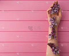 夏季抽象背景模型模板女人手指甲握花淡紫色