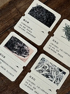 浇个朋友采集到拍照打卡