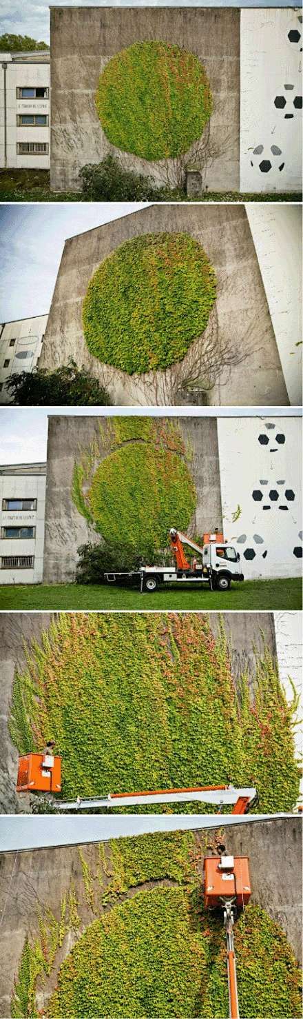 工厂外的植物墙_中国建筑绿化网