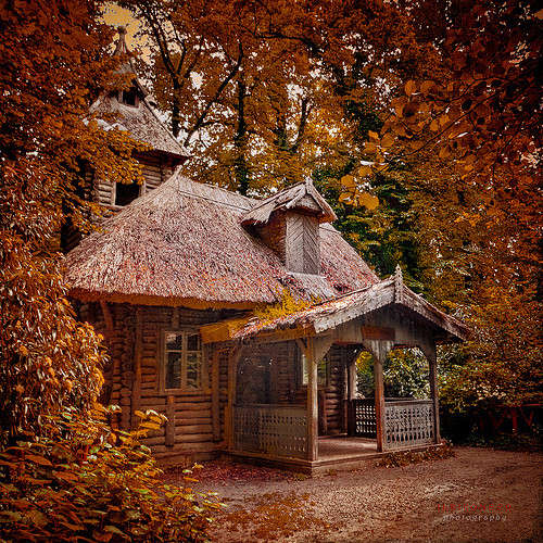 Forest Cottage, Hung...