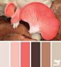 { mushroom hues }