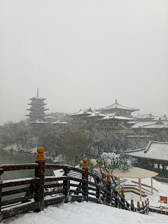 臧锦采集到场景