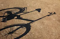 自行车的阴凉处。