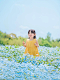 审美提升06_日本摄影师静香shikuka_10_小汐摄影_来自小红书网页版