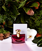 Wild at Heart, Bloomingdale's Spring Fragrance : Add a touch of drama to your fragrance collection with these botanical blends of lush florals, vibrant citrus and earthy woods.  Shot by Josh Dickinson, styled by Alex Brannian. Horticulture consulting by J