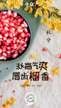 秋分