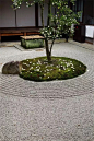 小庭松風靜，無聲花木眠。日本庭院