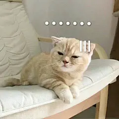 这是当时买小裙子的时候和客服小姐姐聊天她发过来的，当时看到她发表情包我笑翻