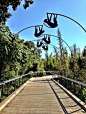 The Monkey Trail!! #SanDiegoZoo