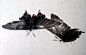 视频 | 齐白石笔下的飞虫100幅，精细之极！