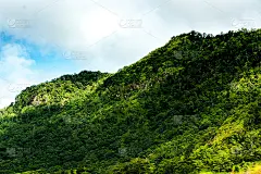 雾和山那牵挂季节的寂寞的人，还是在节日的那天和家人一起去，然后享受冬天。