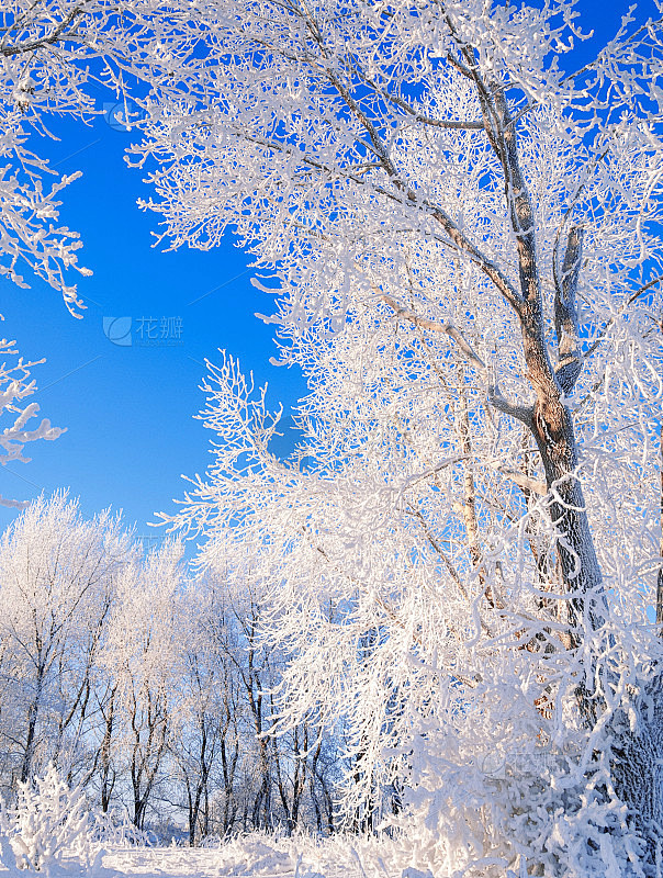 冬天,winter-tide,冬季