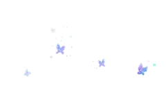 紫色蝴蝶/封面装饰/安好采集