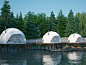 12 White PVC Fabric Eco Dome Tents, Deep Forest Geodesic Dome Resort