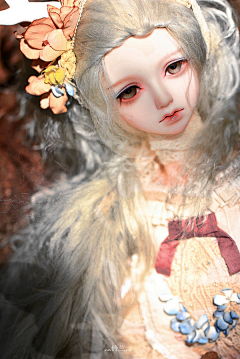 桥本七奈采集到BJD