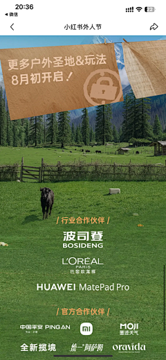 zhangding1990采集到长图-内容排版