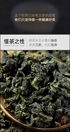 小牛牛采集到茶-铁观音素材