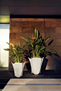 PEZZETTINA POT - Plant pots from Vondom | Architonic : PEZZETTINA POT - Designer Plant pots from Vondom ✓ all information ✓ high-resolution images ✓ CADs ✓ catalogues ✓ contact information ✓ find..