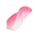 花瓣