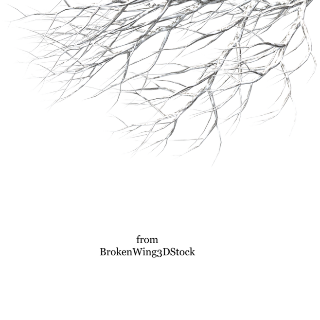 Winter Tree  14 by B...