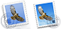 Mavericks vs. Yosemite:原生应用的图标 os x,Mac,苹果 苹果操作系统MAC OSX新闻频道_WeiPhone威锋网