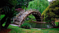 绿色清新公园木桥背景素材图，壁纸背景