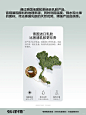 电商产品表达产地这样设计热卖哦 - 小红书
