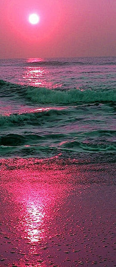 若是一片海，愿用心守候那一红光芒，让生…