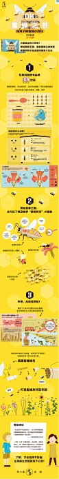《DK蜜蜂之书》([英]夏洛特·米尔纳)【摘要 书评 试读】- 京东图书