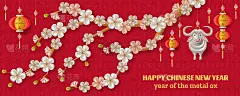 Happy Chinese New Year background with creative wh