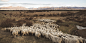 Meet our Growers: Omarama Station - Southern Chronicles by Icebreaker : In 1997, Icebreaker became the first company in the world to establish long term contracts with key merino wool growers. The contracts were based on genuine trust and a mutual concern