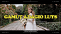 高品质婚礼电影视频调色LUTs预设模板素材 White in Revery – Adagio LUTs插图