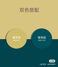 工管一班孙同学采集到配色