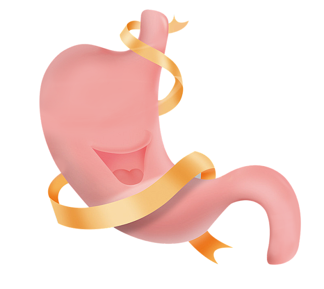胃