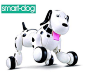Electronic Pets - SainSmart Jr Electronic RC Smart Dog Wireless Interactive Puppy Childrens Toy Dancing Robot Pet Black *** See this great product.