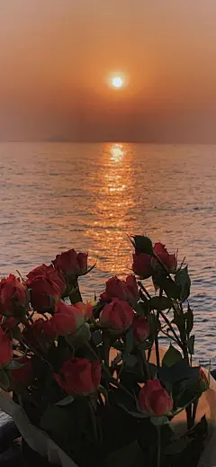 秒赞壁纸未来7天你会获得双倍幸运✨​​​